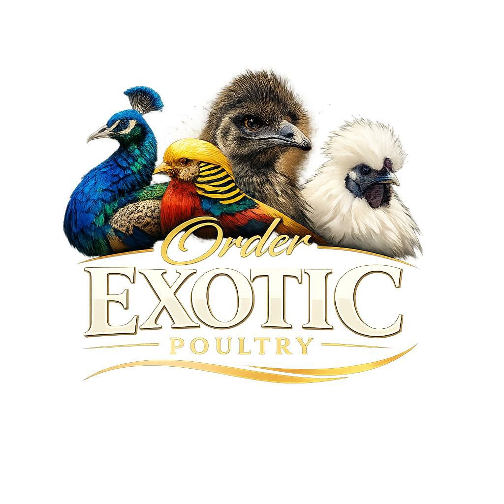 orderexoticpoultry.com